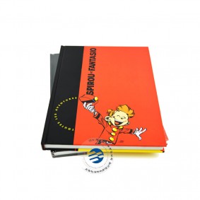 China Custom Hardcover Comic Book Printing Company Services  China Custom Hardcover Comic Book Printing Company Services